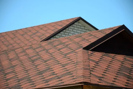 the-roof-is-covered-with-bituminous-shingles.webp the-roof-is-covered-with-bituminous-shingles.webp